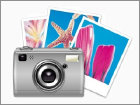 word_worldwide016011.jpg